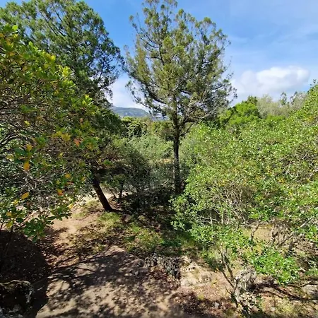 Apartment Petit Nid Douillet A Deux Pas De Santa Giulia *