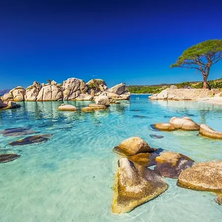 Petit Nid Douillet A Deux Pas De Santa Giulia * Porto-Vecchio (Corsica)
