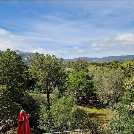 Lägenhet Petit Nid Douillet A Deux Pas De Santa Giulia Porto-Vecchio (Corsica)