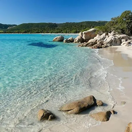 Petit Nid Douillet A Deux Pas De Santa Giulia *