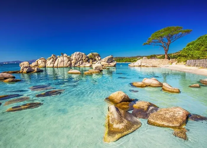 Petit Nid Douillet A Deux Pas De Santa Giulia * Porto-Vecchio (Corsica)