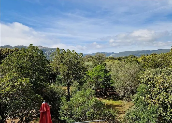 Apartmán Petit Nid Douillet A Deux Pas De Santa Giulia Porto-Vecchio (Corsica)