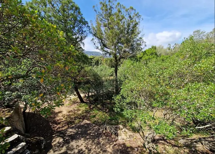 Apartmán Petit Nid Douillet A Deux Pas De Santa Giulia *